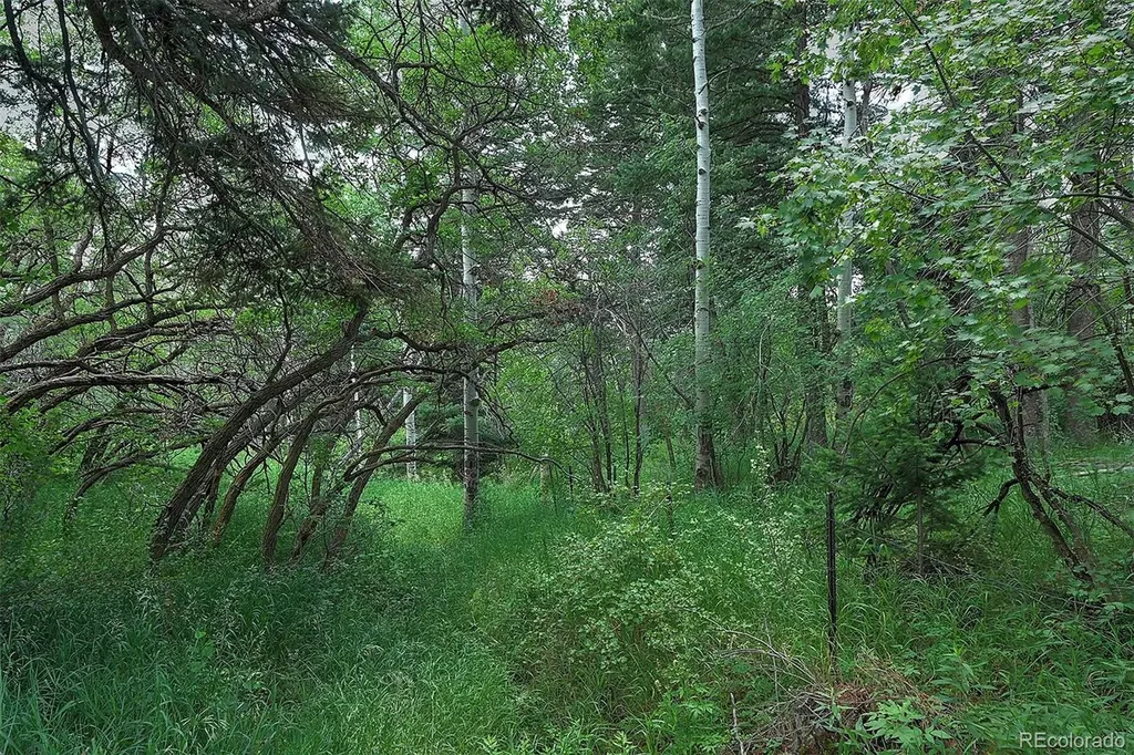 13884 N Trail Circle Littleton CO 80127