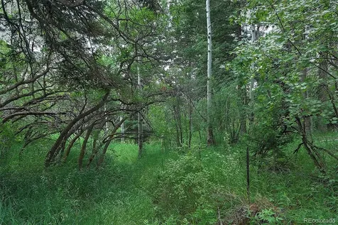 13884 N Trail Circle Littleton CO 80127