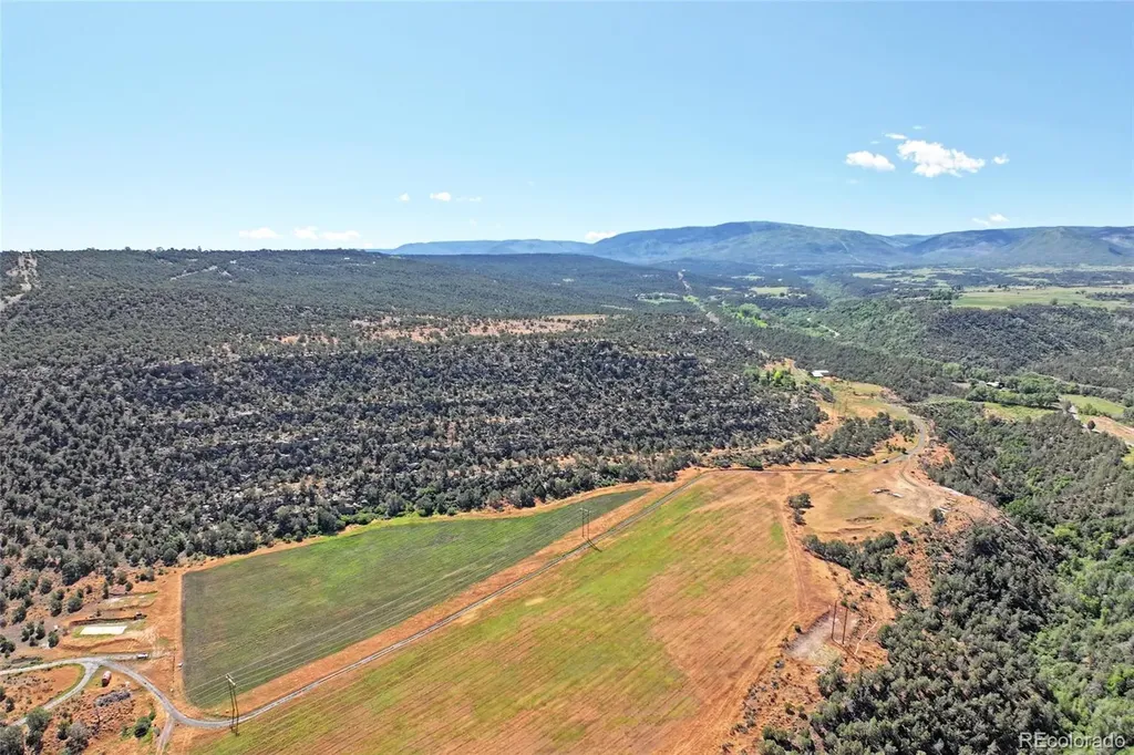 5402 Ke2 Road Collbran CO 81624