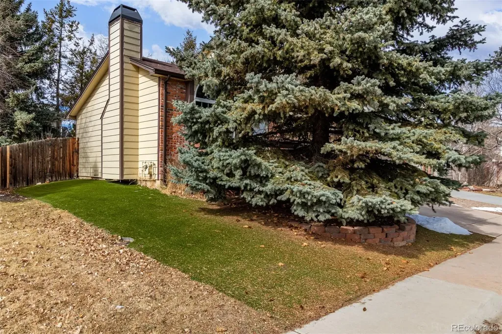 119 S Pembrook Street Castle Rock CO 80104