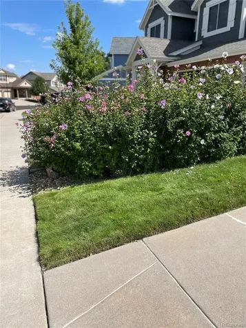 11580 Terrawood Court Parker CO 80134