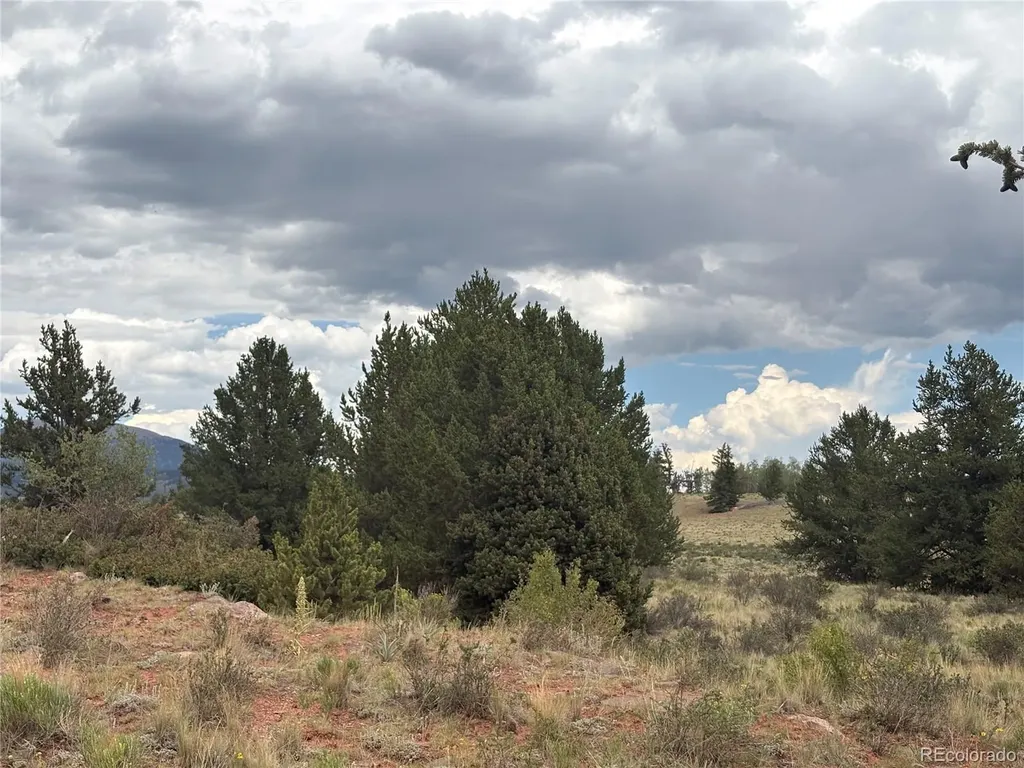 1344 Silverheels Road Fairplay CO 80440