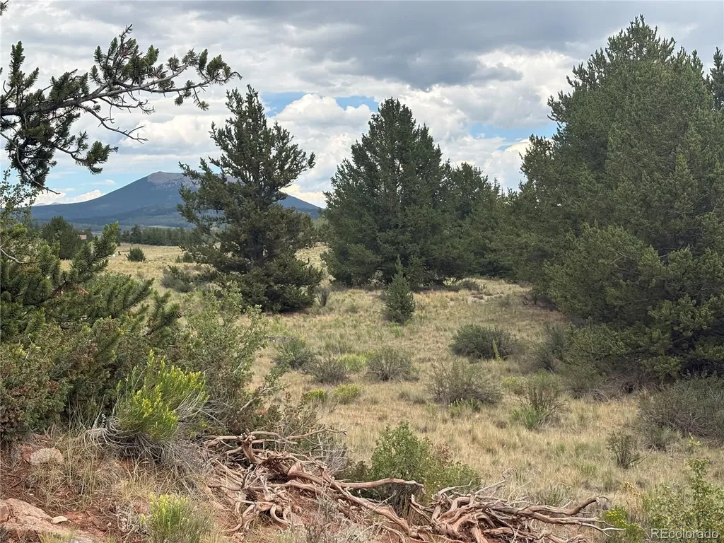 1344 Silverheels Road Fairplay CO 80440