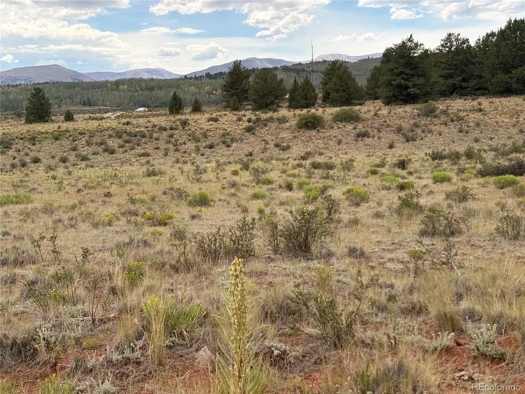 1344 Silverheels Road Fairplay CO 80440