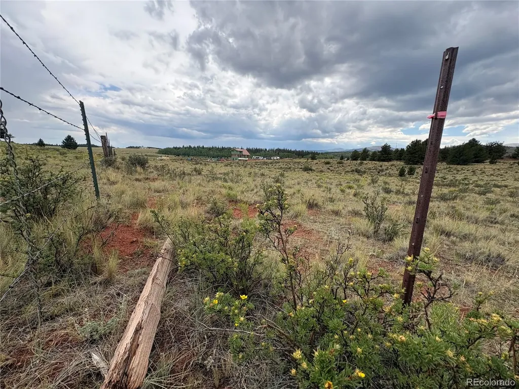 1344 Silverheels Road Fairplay CO 80440