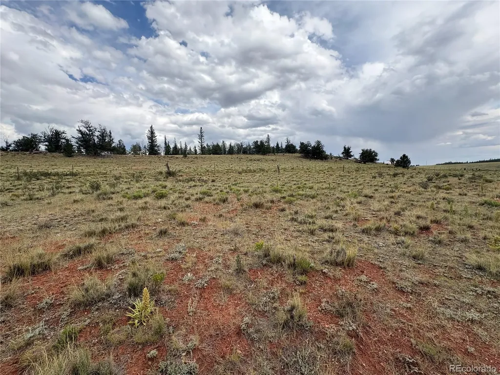 1344 Silverheels Road Fairplay CO 80440