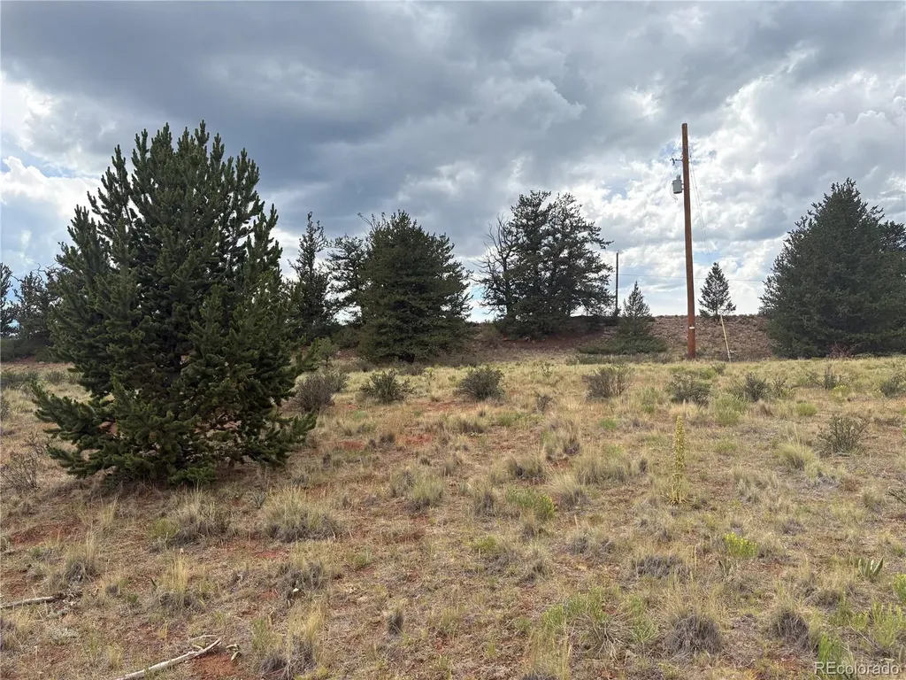 1344 Silverheels Road Fairplay CO 80440