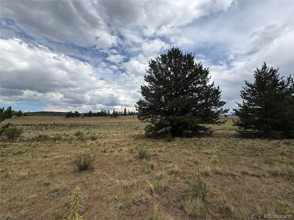 1344 Silverheels Road Fairplay CO 80440