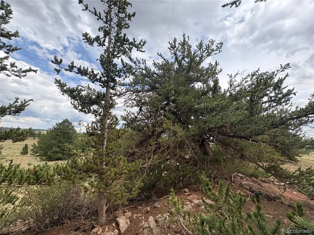 1344 Silverheels Road Fairplay CO 80440