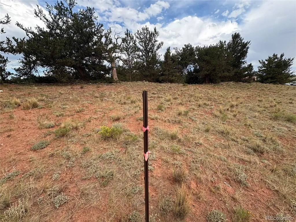1344 Silverheels Road Fairplay CO 80440