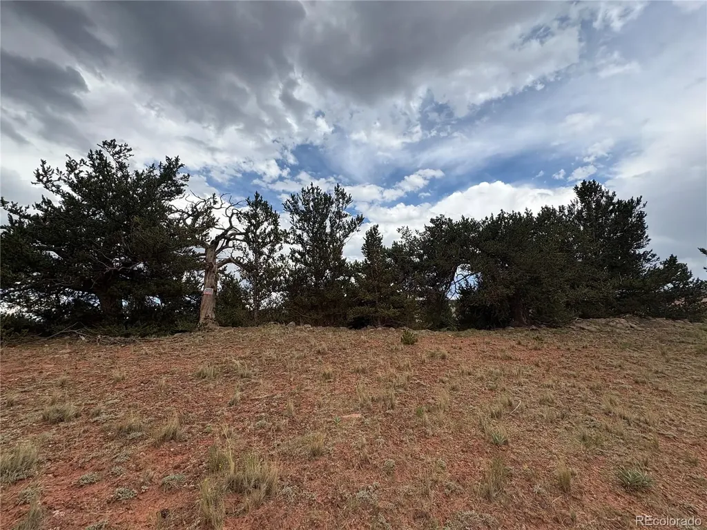 1344 Silverheels Road Fairplay CO 80440