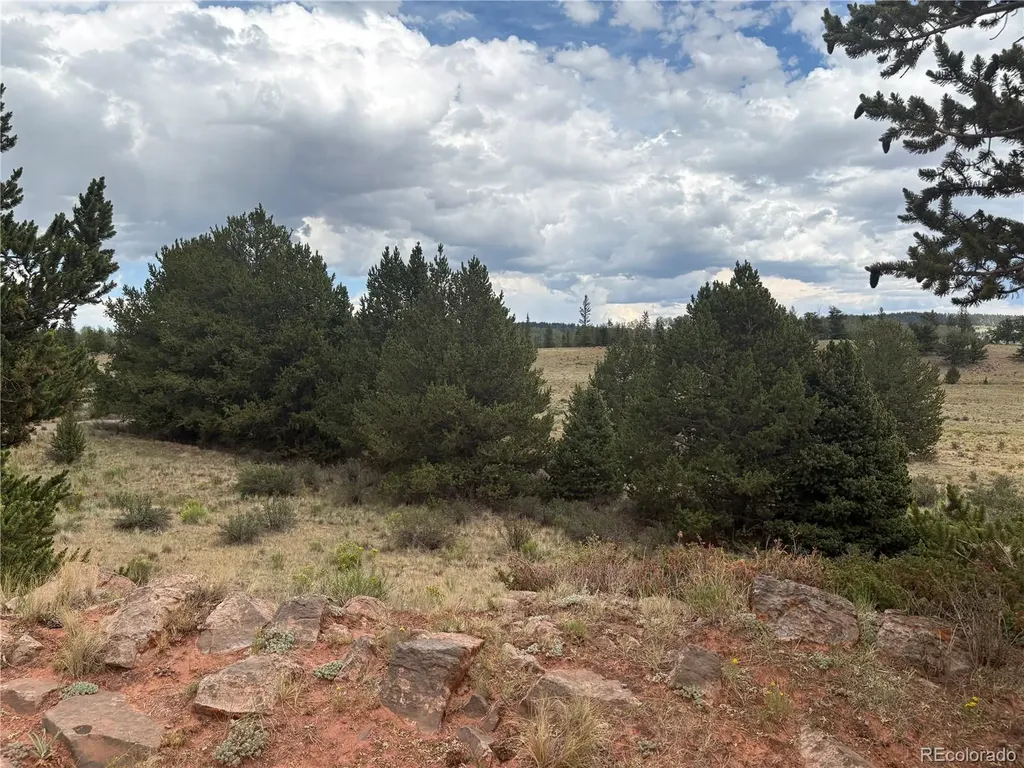 1344 Silverheels Road Fairplay CO 80440