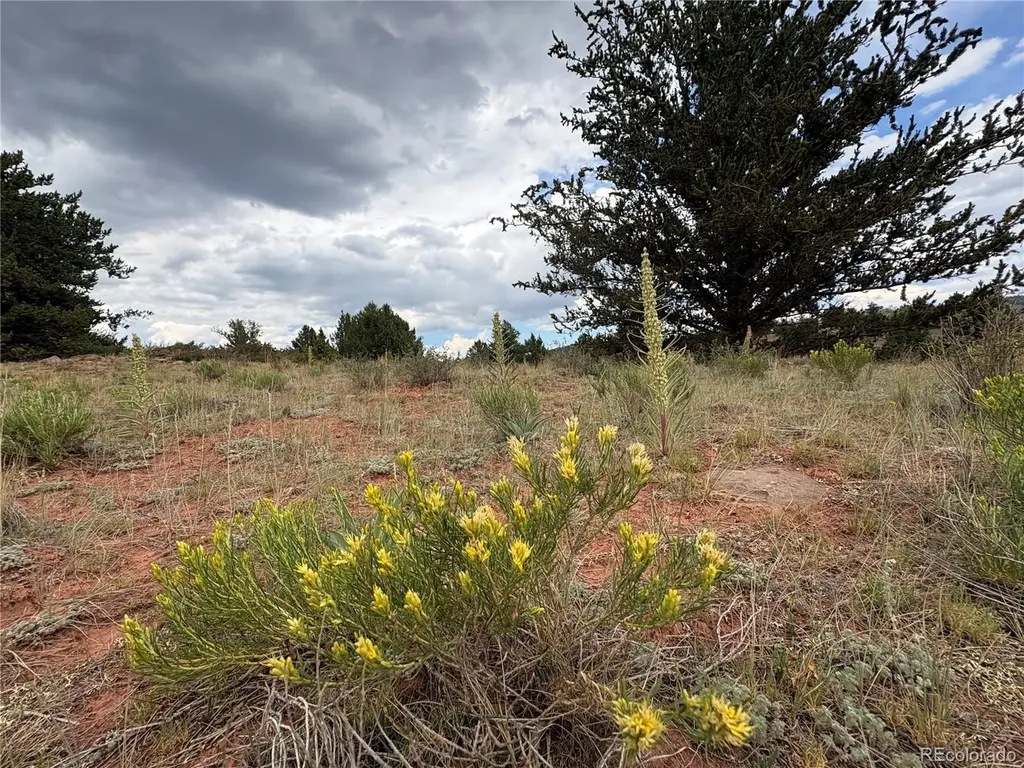 1344 Silverheels Road Fairplay CO 80440