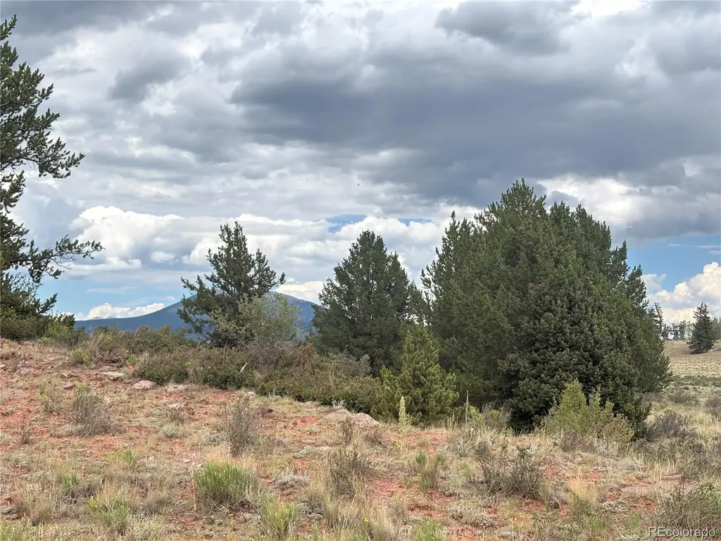1344 Silverheels Road Fairplay CO 80440