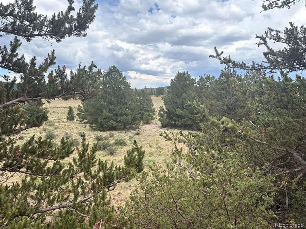 1344 Silverheels Road Fairplay CO 80440