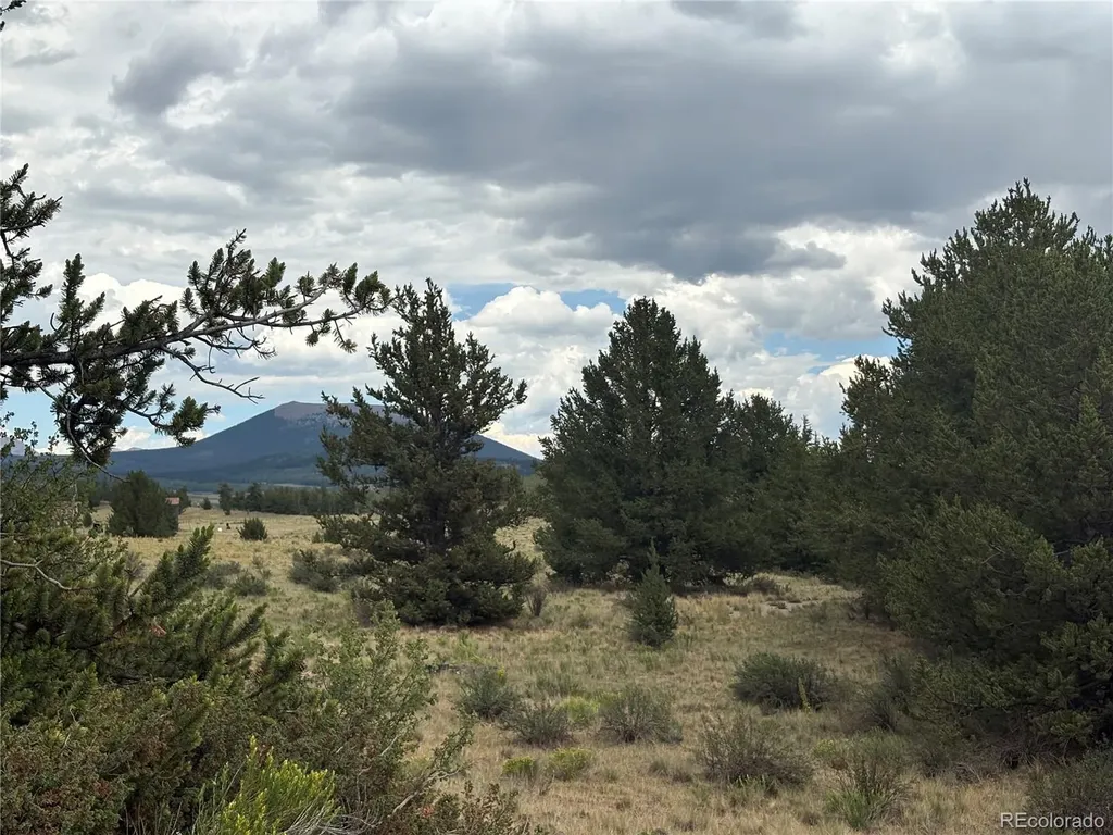 1344 Silverheels Road Fairplay CO 80440