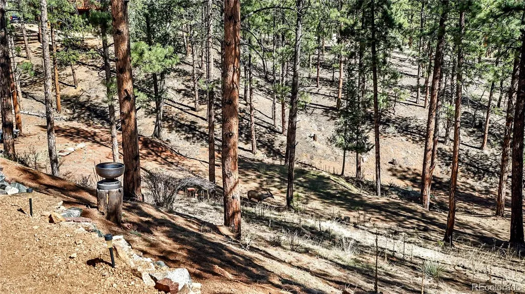 16536 Ouray Road W Pine CO 80470