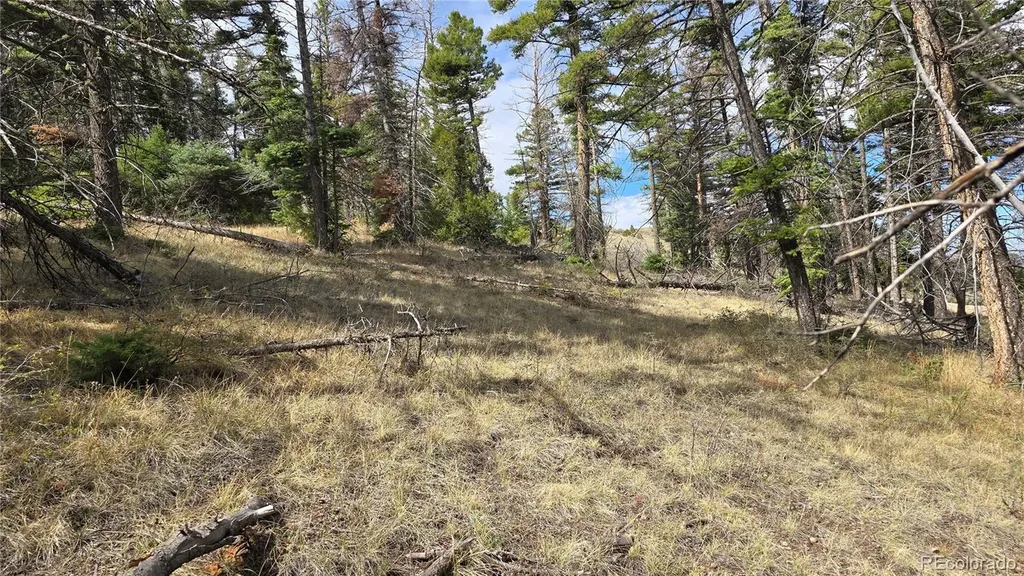 Lot 5505 Balleroy Road Fort Garland CO 81133