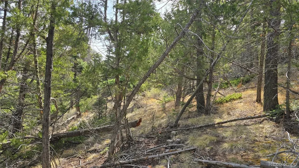 Lot 5505 Balleroy Road Fort Garland CO 81133