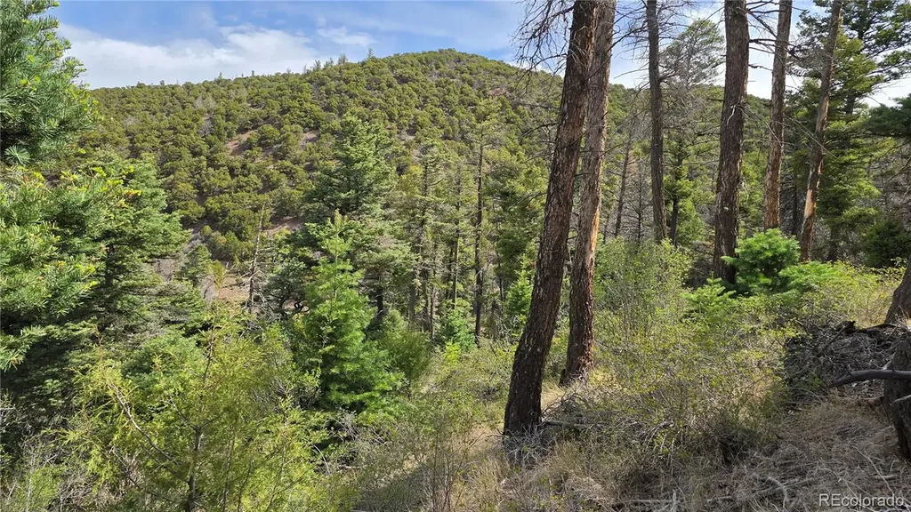 Lot 5505 Balleroy Road Fort Garland CO 81133