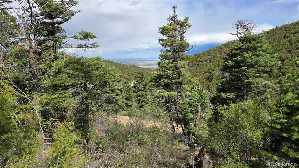 Lot 5505 Balleroy Road Fort Garland CO 81133