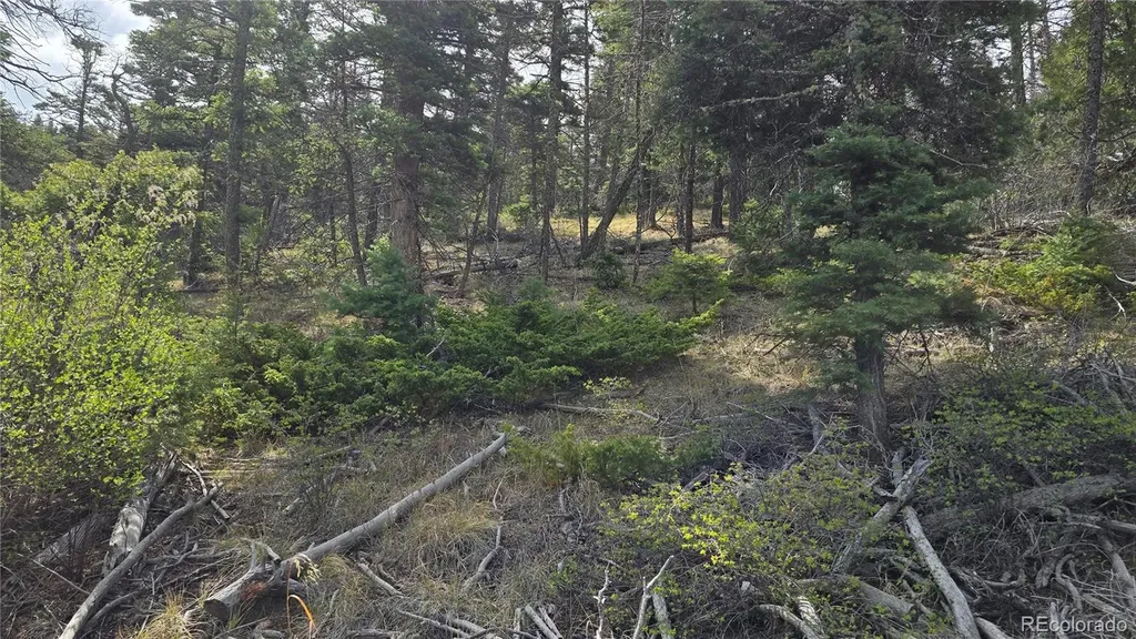 Lot 5505 Balleroy Road Fort Garland CO 81133
