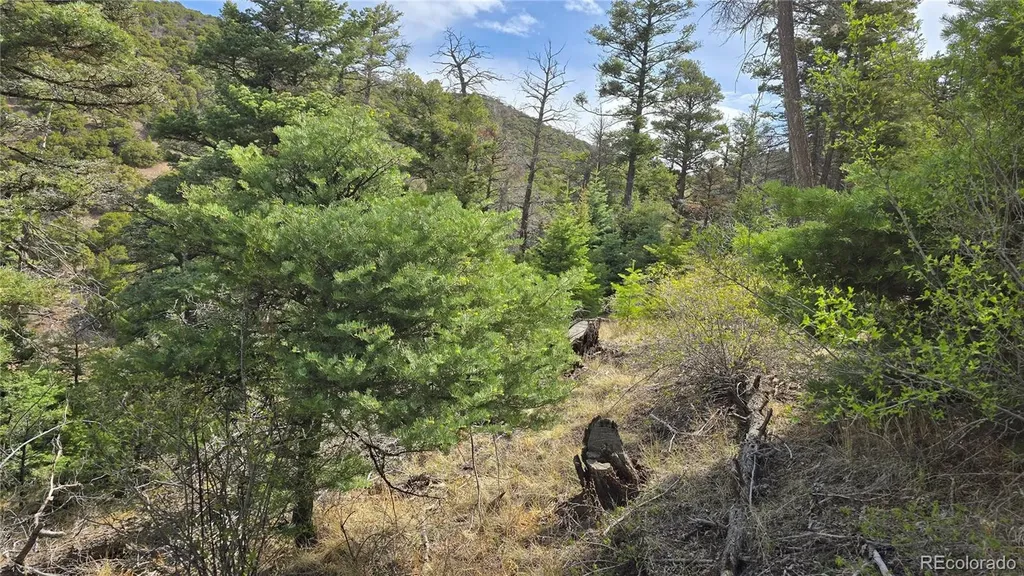 Lot 5505 Balleroy Road Fort Garland CO 81133