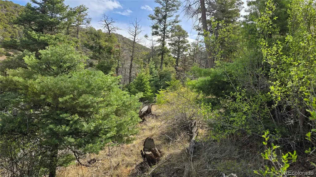 Lot 5505 Balleroy Road Fort Garland CO 81133