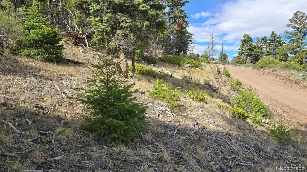 Lot 5505 Balleroy Road Fort Garland CO 81133