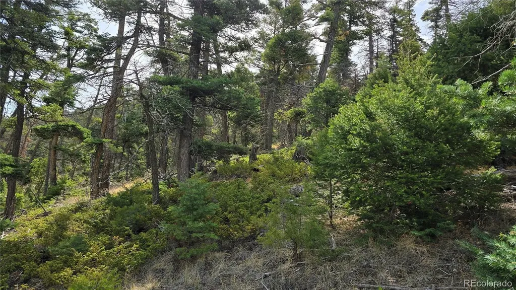 Lot 5505 Balleroy Road Fort Garland CO 81133