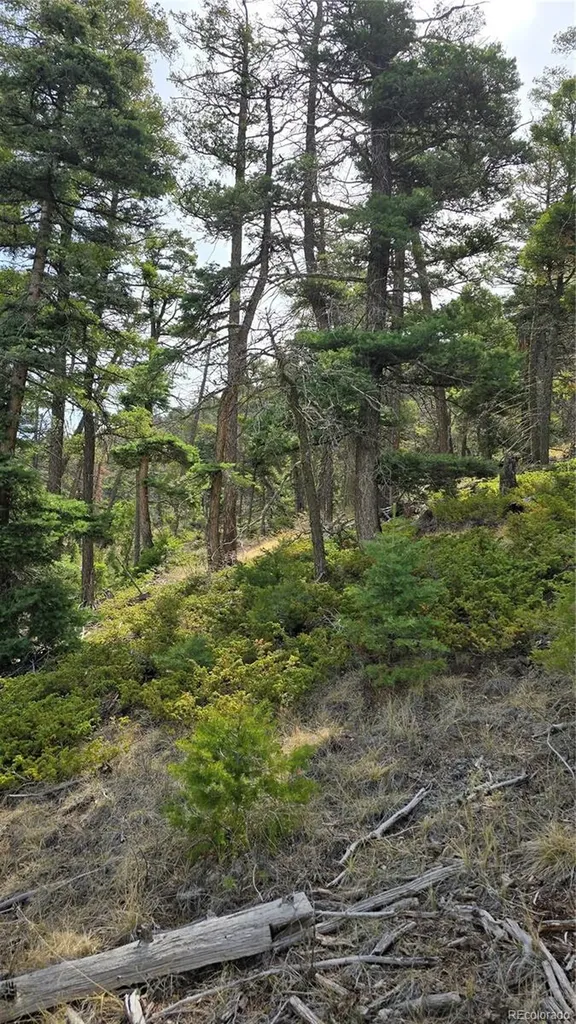 Lot 5505 Balleroy Road Fort Garland CO 81133