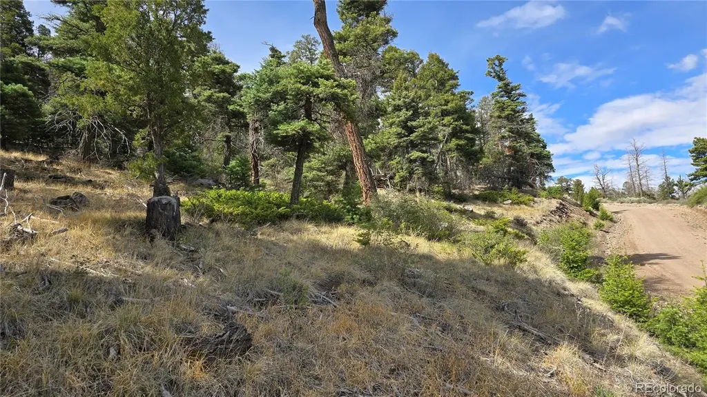 Lot 5505 Balleroy Road Fort Garland CO 81133