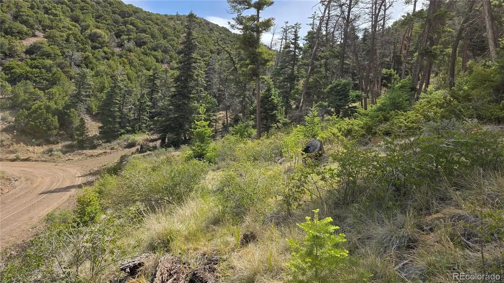 Lot 5505 Balleroy Road Fort Garland CO 81133