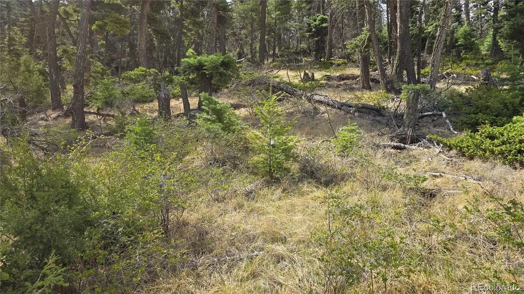 Lot 5505 Balleroy Road Fort Garland CO 81133