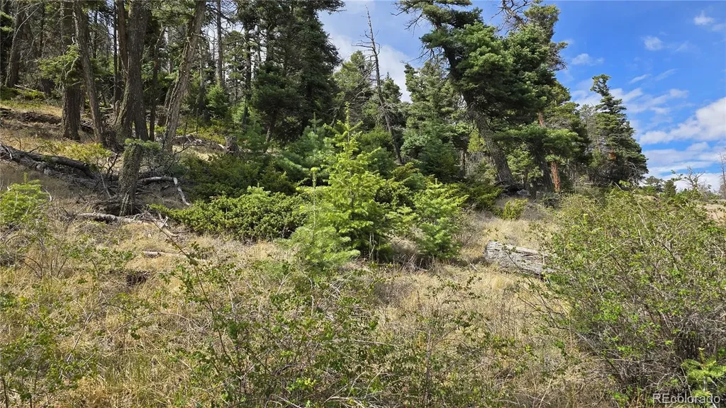 Lot 5505 Balleroy Road Fort Garland CO 81133
