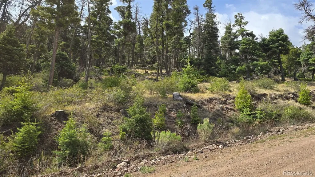 Lot 5505 Balleroy Road Fort Garland CO 81133