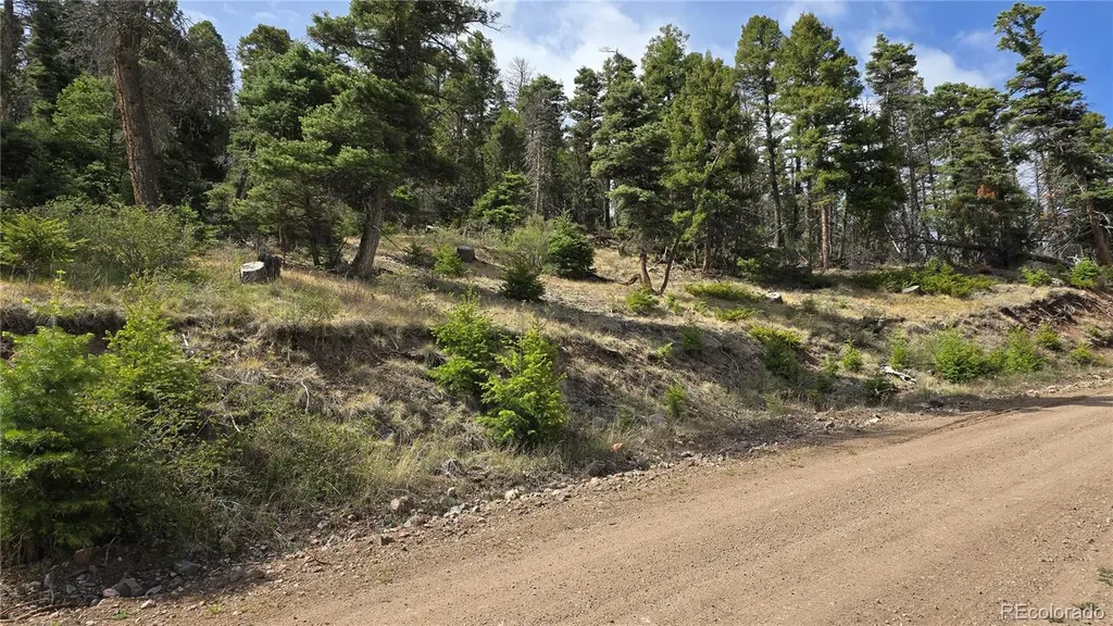 Lot 5505 Balleroy Road Fort Garland CO 81133