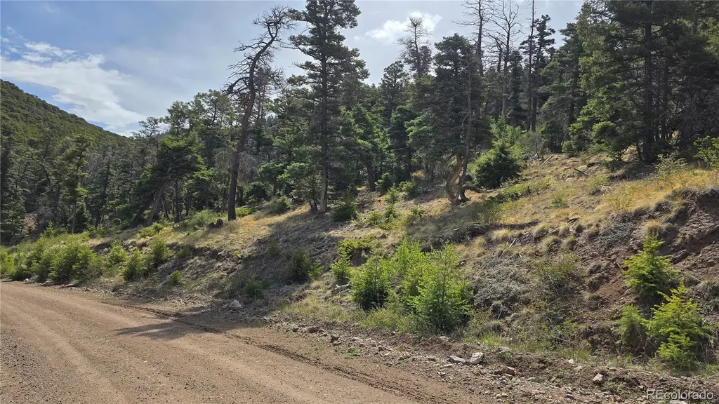 Lot 5505 Balleroy Road Fort Garland CO 81133
