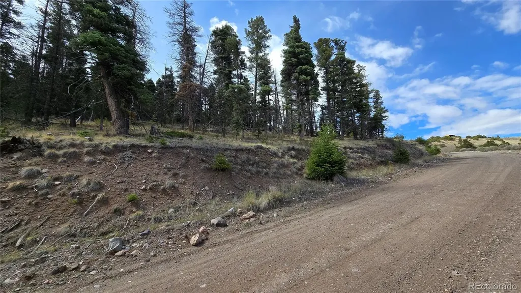 Lot 5505 Balleroy Road Fort Garland CO 81133