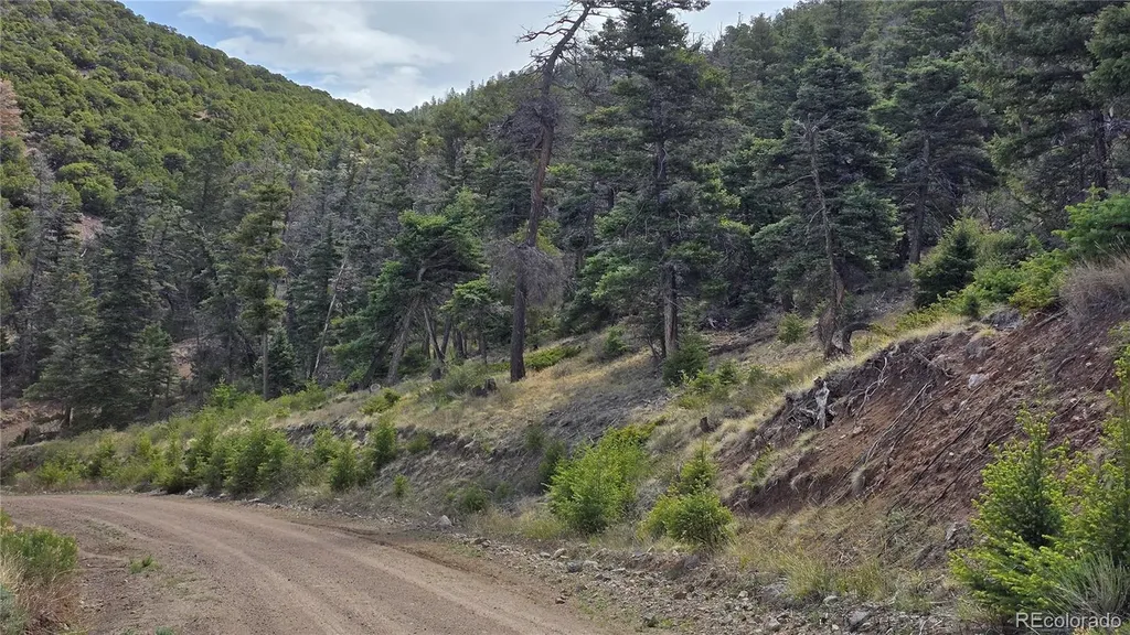 Lot 5505 Balleroy Road Fort Garland CO 81133