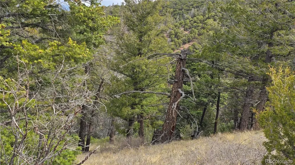 Lot 5505 Balleroy Road Fort Garland CO 81133