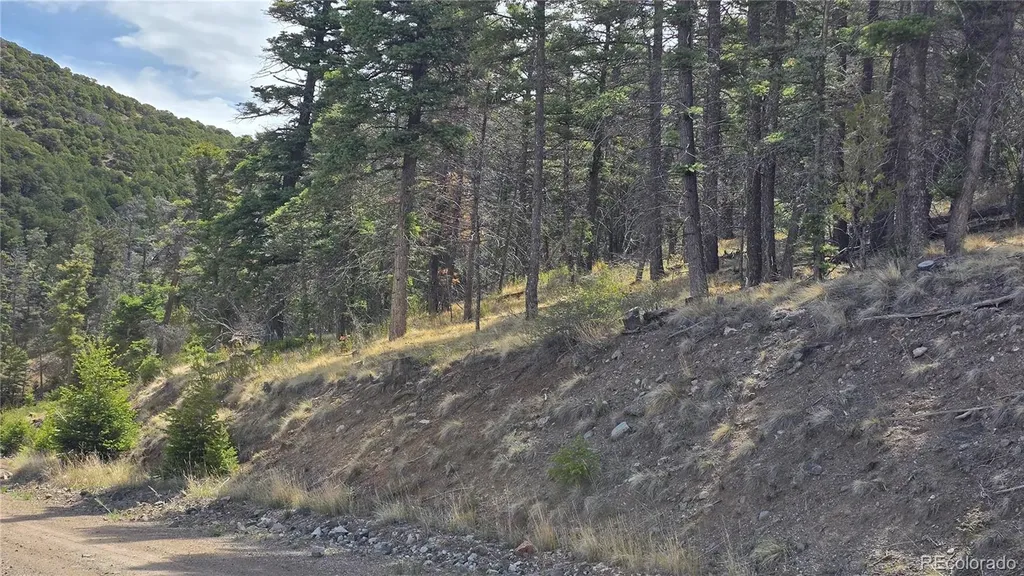 Lot 5505 Balleroy Road Fort Garland CO 81133
