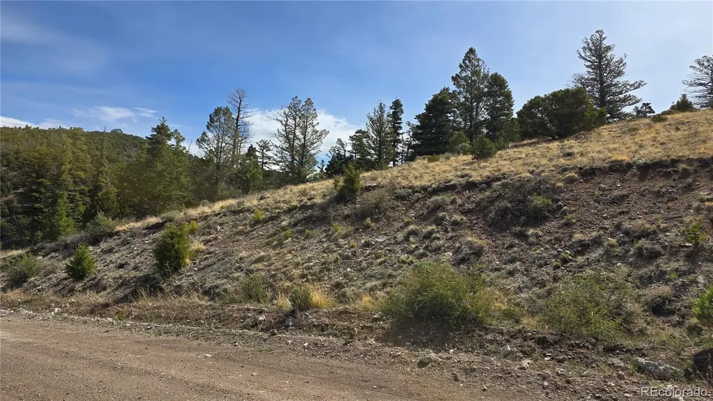 Lot 5505 Balleroy Road Fort Garland CO 81133