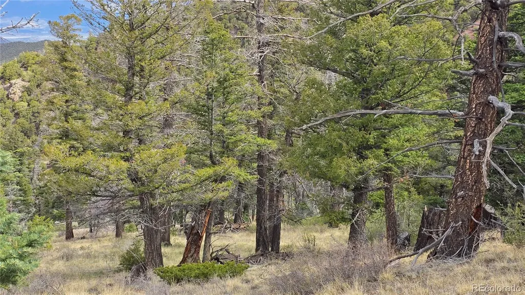 Lot 5505 Balleroy Road Fort Garland CO 81133