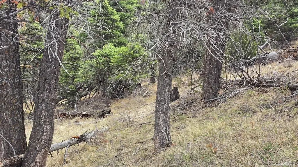 Lot 5505 Balleroy Road Fort Garland CO 81133