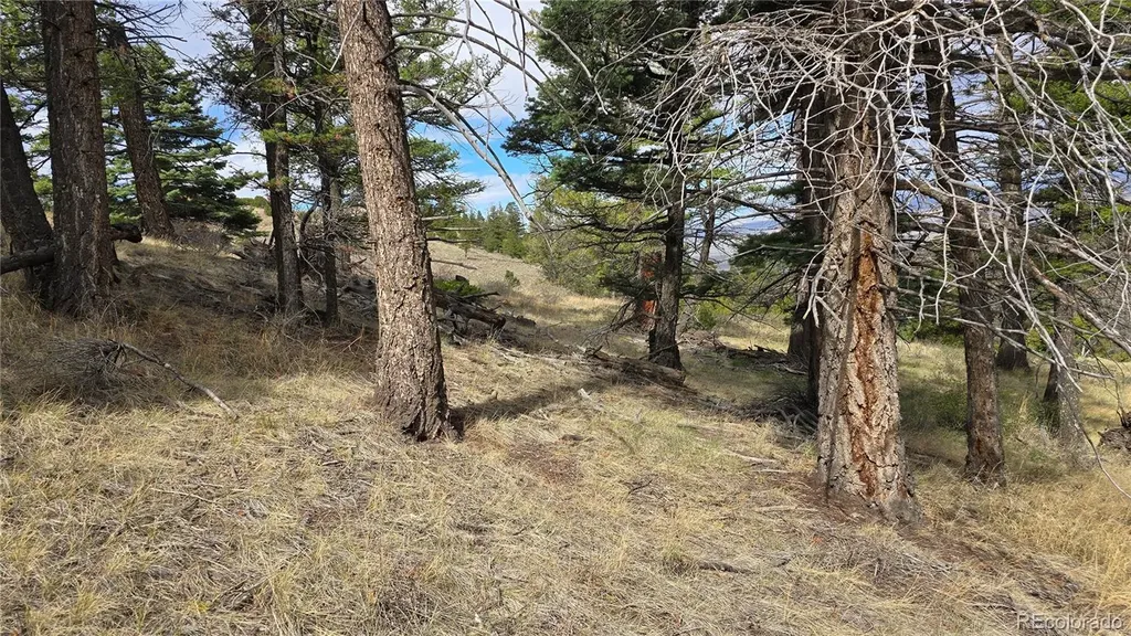 Lot 5505 Balleroy Road Fort Garland CO 81133