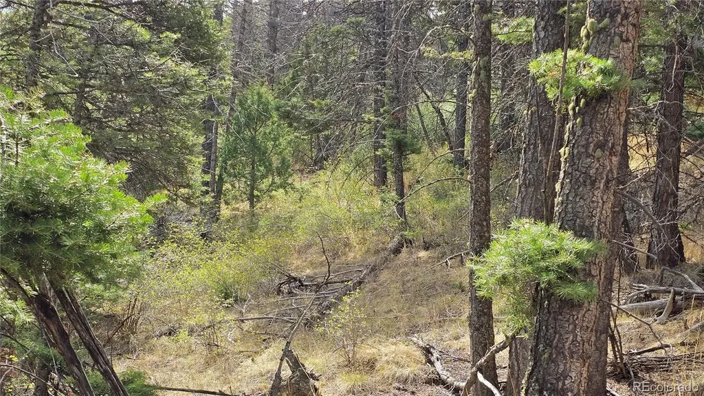 Lot 5505 Balleroy Road Fort Garland CO 81133