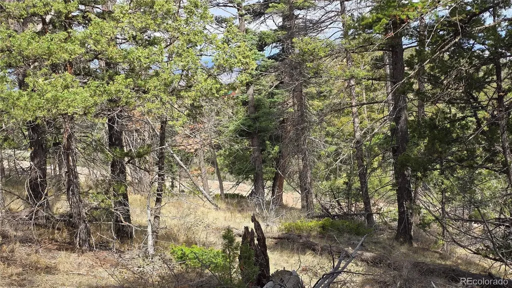 Lot 5505 Balleroy Road Fort Garland CO 81133
