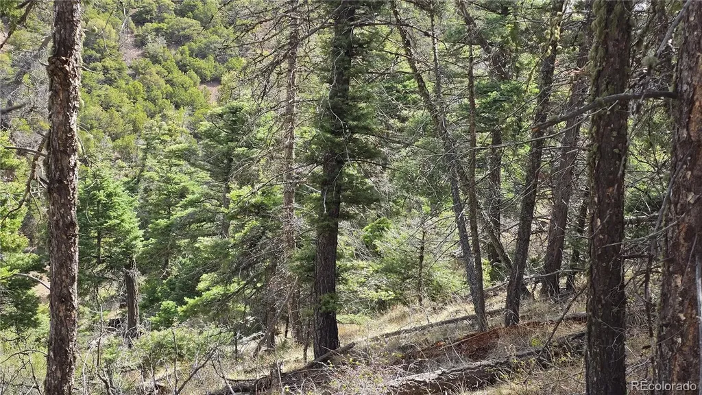 Lot 5505 Balleroy Road Fort Garland CO 81133
