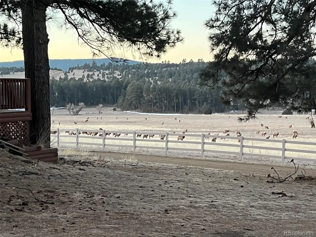 24030 County Road 43.6 Aguilar CO 81020